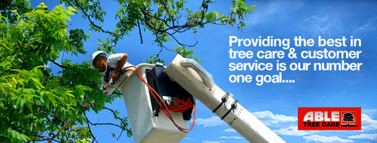Bronx Tree Companies 768x292