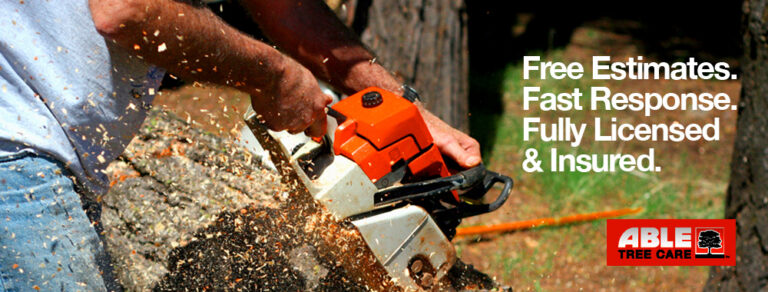 Bronx Tree Company 768x292