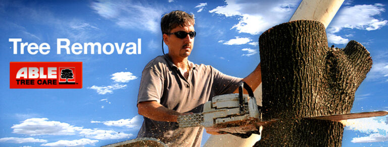 Bronx Tree Removal 768x292