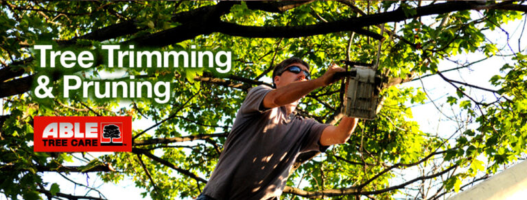 Bronx Tree Services 768x292